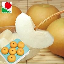 パトラ かおり梨4玉入り5kg、5玉入り5kgのセット 梨：かおり】5kg【予約販売】｜リベシティファーマーズマーケット