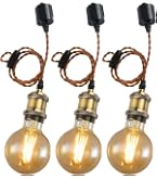 Amazon.co.jp: LVWIT ペンダントライト E26口金 LED電球付き