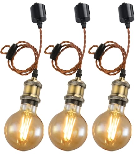 【M2810-69-45】ペンダントライト E26口金 LED電球付き Amazon.co.jp: LVWIT ペンダントライト E26口金 LED電球付き
