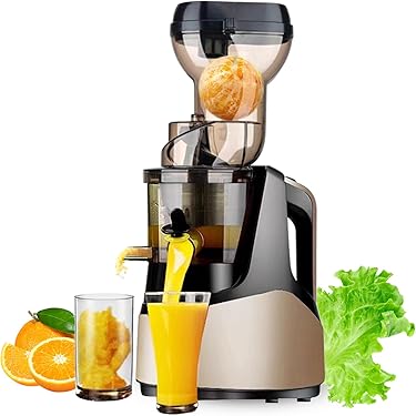 Amazon.co.jp 人気ギフトランキング: スロージューサー で