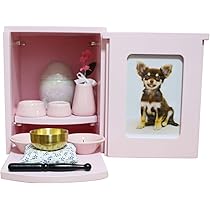 611zXIndgeL._AC_UL210_SR210,