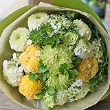 花束 生花 ギフト Lサイズ （ ホワイト グリーン 系 ） 大臣賞受賞 デザイナー お任せ花束