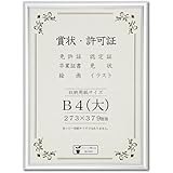 大仙 額縁 賞状額 オールライト アルミ B4大 J091B2901