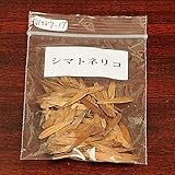 盆栽種子：シマトネリコ【お得】