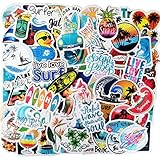 サーフィンステッカー100枚アウトドアフサーフィンシールセット防水ステッカーおしゃれ オシャレDIY ステッカー スーツケース、スノーボード、パソコン、携帯ノート、バイク、車、ギター ヘルメット 、スケボー、キャリーケース、手帳 文房具 ステッカー (t1)