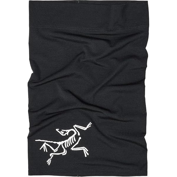 Amazon | [アークテリクス] ロー ライトウェイト ウール ネック