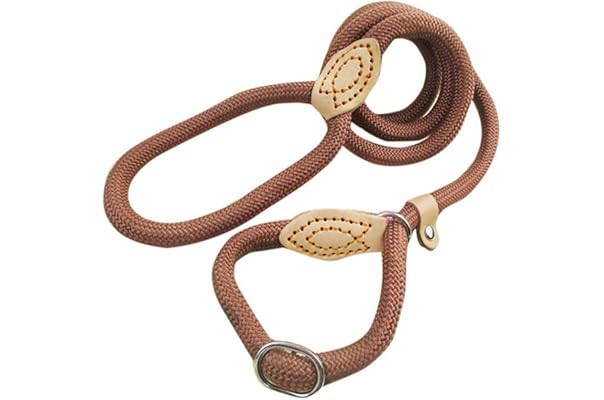 best dog leash amazon