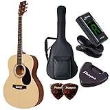 HONEY BEE ハニービー アコースティックギター フォークギタータイプ F-15M/N マットフィニッシュモデル 初心者入門チューナーピックセット