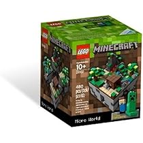 LEGO Minecraft 21102: Amazon.sg: Toys 