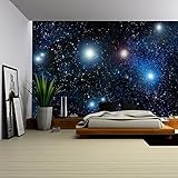 wall26 粘着式 Wall Muralシリーズ 壁紙 大型 100"x144" WMR-WP-X-D760-100x24x6