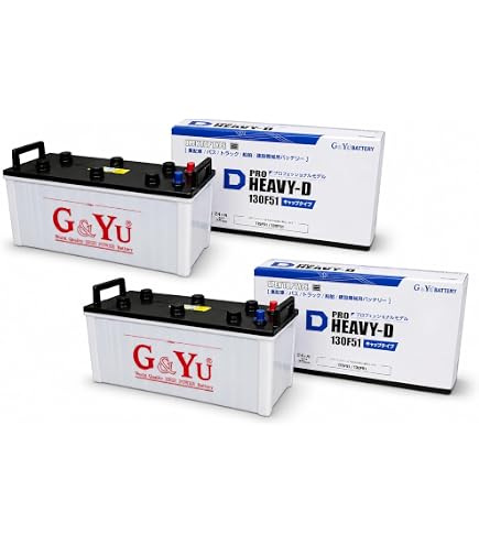 Amazon.co.jp: GS YUASA EB100-LE Electric Car Battery [Lead Acid