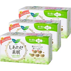 【まとめ買い】ロリエ しあわせ素肌 多い昼用 羽つき 22.5cm 20コ入 ×3セット