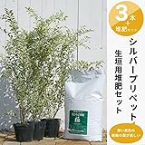 シルバープリペット 堆肥 生垣用セット 【シルバープリペット 生垣苗×3本と花ひろば堆肥「極み」 1袋】 生垣 目隠し 庭木 常緑樹