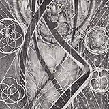 UROBORIC FORMS-THE COM [12 inch Analog]