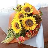 山久 ひまわり の花束 1206-9204 【CT触媒加工】【造花】【シルクフラワー】