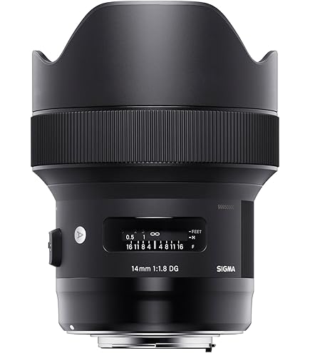 Amazon.co.jp: シグマ(Sigma) SIGMA シグマ Lマウント レンズ