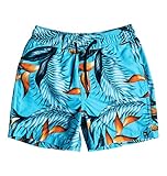 【QUIKSILVER クイックシルバー】 キッズ ジャムショーツ（12インチ）PARADISE POINT VL BOY 12 【EQKJV03022 BJB6 110】
