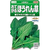 サカタのタネ 実咲野菜3405 おてがるほうれん草 ソロモン 00923405