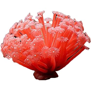 飾りサンゴ 楽天市場】水槽 オブジェ オーナメント サンゴの通販