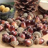 YSBER 50 PCS Mini Artificial Simulation Small Acorn Decoration Plant Home &Craft DIY Accessories [並行