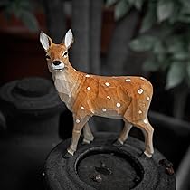 612MPNTzRGL._AC_UL210_SR210,