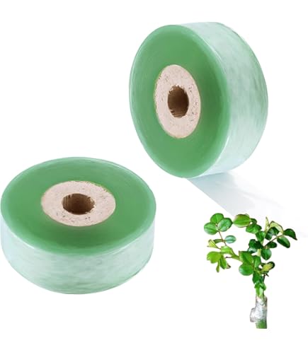 カラタチの種2000粒 Amazon.co.jp: カラタチの種 (20) : DIY・工具・ガーデン