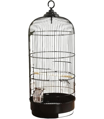 Amazon | Aeon hum 鳥かご 鳥ケージ 大型 豪華ケージ 大きい インコ