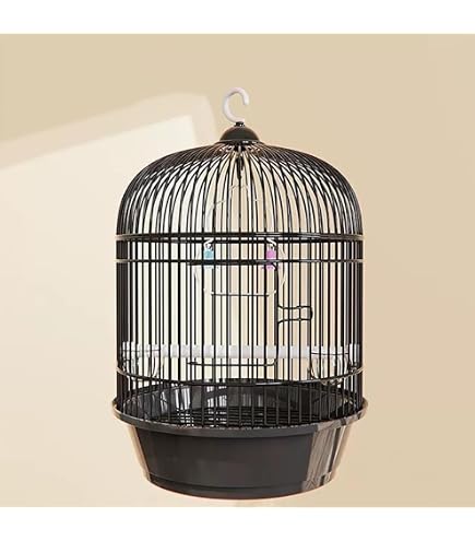 s*o様 アンティーク　鳥かご　バードケージ　kinsen ビンテージ　文鳥　小 Amazon | インテリア 鳥籠 持ち運び 鳥かご おしゃれ 鳥 ケージ セット