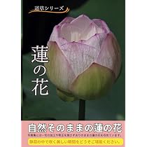 蓮の花: 静けさの中に咲く、蓮の花 (道草シリーズ) | 島次郎 |本
