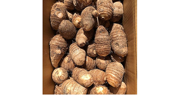 Amazon 伝統の大和野菜 奈良県天理市産grexの里芋 味間芋 ３ｋｇ Grex 里芋 通販