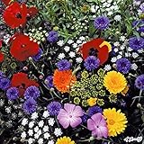 国華園　花たね 高性切花ミックス 1袋(400mg)【※発送が国華園からの場合のみ正規品です】