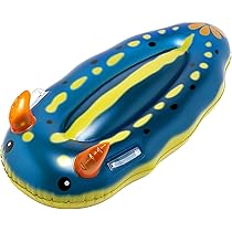 Amazon.co.jp: イガラシ ウミウシフロート 120×62cm FRB-175V : おもちゃ