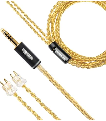 Amazon | 【e☆イヤホンオリジナル】e☆イヤホン・ラボ Obsidian GeN2