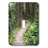 3drose LSP _ 88622 _ 1パス、Giant Redwood Trees、レッドウッド国立公園、カリフォルニアus05 rkl0043 Raymond Klassライトスイッチカバー