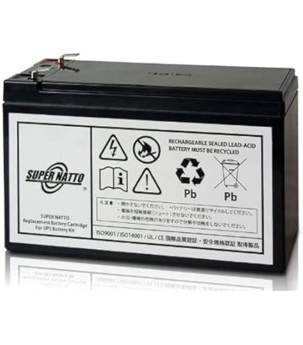 Amazon | APC RS 550電源バックアップ(500VA) BR550G-JP