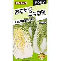 【はなみち】大人気の新種が激安！ブロッコリー（アーサー）2個 はなみち】大人気の新種が激安！ブロッコリー（アーサー）2個