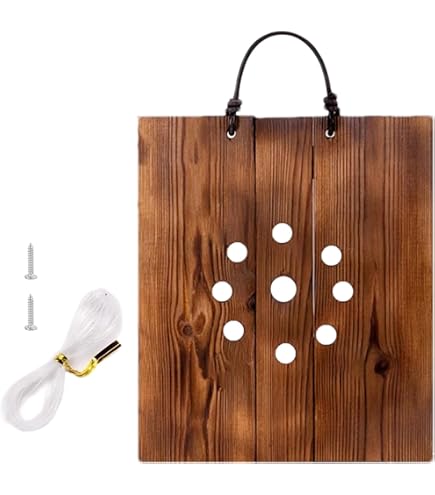 Amazon.co.jp: ビカクシダ ステンレスバスケット 3個 : DIY・工具
