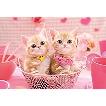 Amazon | エポック社 300ピース ジグソーパズル いきもの/ペット ねこ