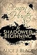 A Shadowed Beginning (Demon Hunter Book 1) (English Edition)