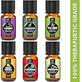 Essential Oils Gift Set: French Lavender Tea Tree Eucalyptus Lemongrass Sweet Orange Peppermint | 10