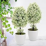 MyGift Plastic Artificial Plants Small Synthetic Trees in Planter Pots White [並行輸入品]