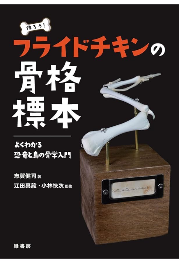 標本の作り方: 自然を記録に残そう (大阪市立自然史博物館叢書 2