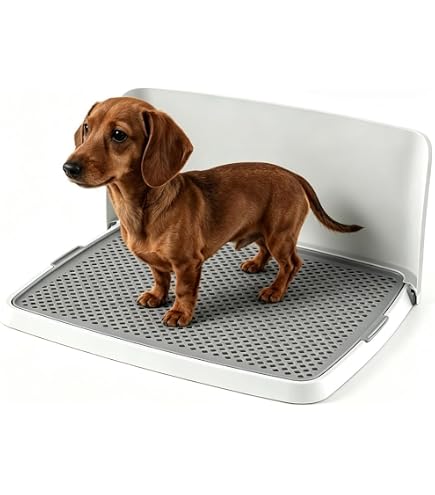 Amazon | BaraRose 犬 トイレトレー シリコン ワイド L型 トイレトレー