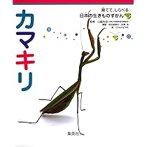 染色絵画　カマキリ 染色絵画 カマキリ
