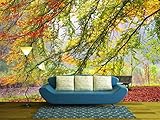 wall26 - 粘着壁紙 大きな壁画シリーズ 100"x144" WMR-WP-X-D418-100x24x6