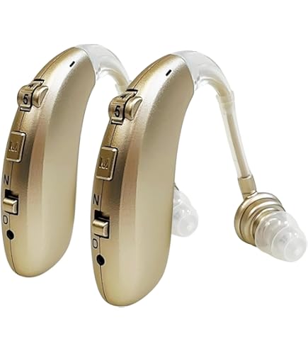 集音器 補聴器 高齢者 Bluetooth 耳穴型 超軽量 両耳兼用 sky02_shhgt