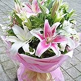 LORIAJPユリ 種子 100pcs/パッケージ 植物、花 種子 庭/室内/ガーデン植物種子
