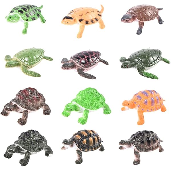 Amazon.co.jp: 動物星球フィギュア 亀コンプリートセット : Toys & Games 