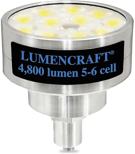 Amazon.co.jp: MAG-LITE Dセル シリーズ 6セルDマグライト ブラック