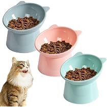 612YtubBciL._AC_UL210_SR210,